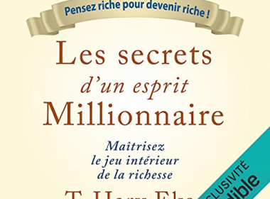 Mon avis sur le livre "Les secrets d'un esprit millionnaire" de T. Harv Eker 8